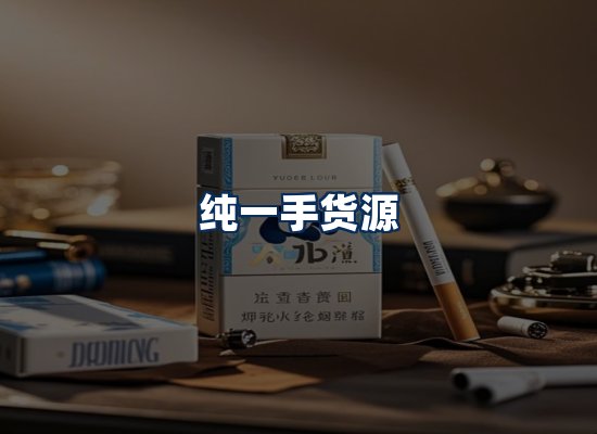专业团队办公环境